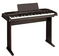 Electric Keyboards & Organs
