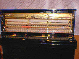 Click To Enlarge